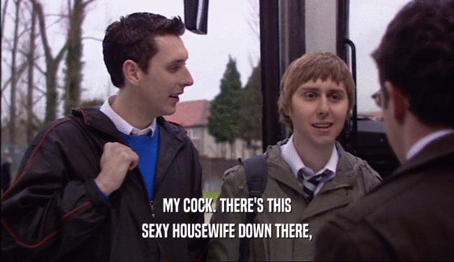 MY COCK. THERE'S THIS SEXY HOUSEWIFE DOWN THERE, 