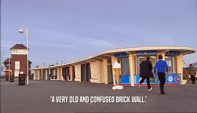 'A VERY OLD AND CONFUSED BRICK WALL.'  