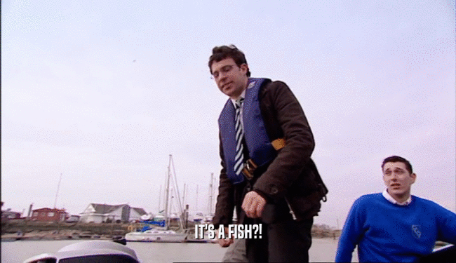 IT'S A FISH?!  