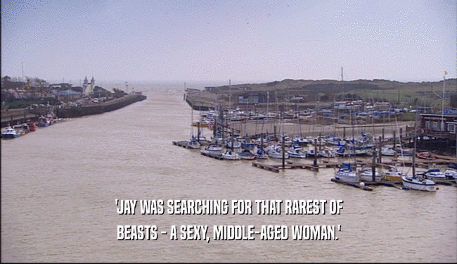 'JAY WAS SEARCHING FOR THAT RAREST OF BEASTS - A SEXY, MIDDLE-AGED WOMAN.' 