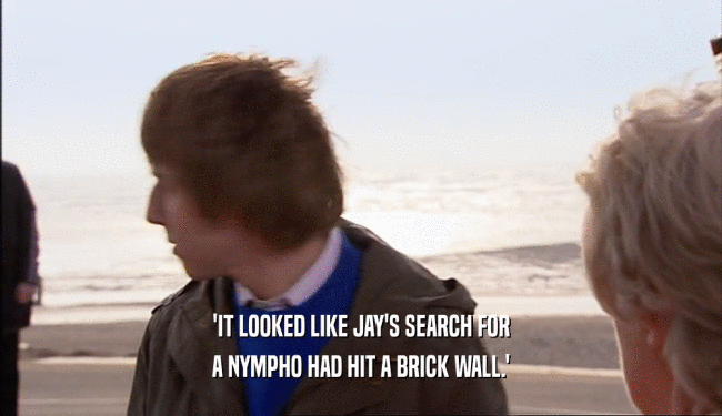 'IT LOOKED LIKE JAY'S SEARCH FOR A NYMPHO HAD HIT A BRICK WALL.' 