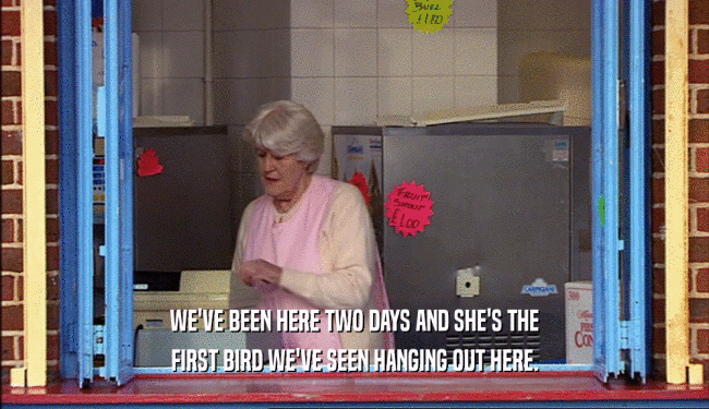 WE'VE BEEN HERE TWO DAYS AND SHE'S THE FIRST BIRD WE'VE SEEN HANGING OUT HERE. 