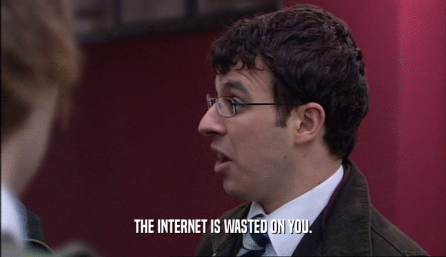 THE INTERNET IS WASTED ON YOU.
  
