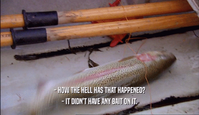 - HOW THE HELL HAS THAT HAPPENED?
 - IT DIDN'T HAVE ANY BAIT ON IT.
 