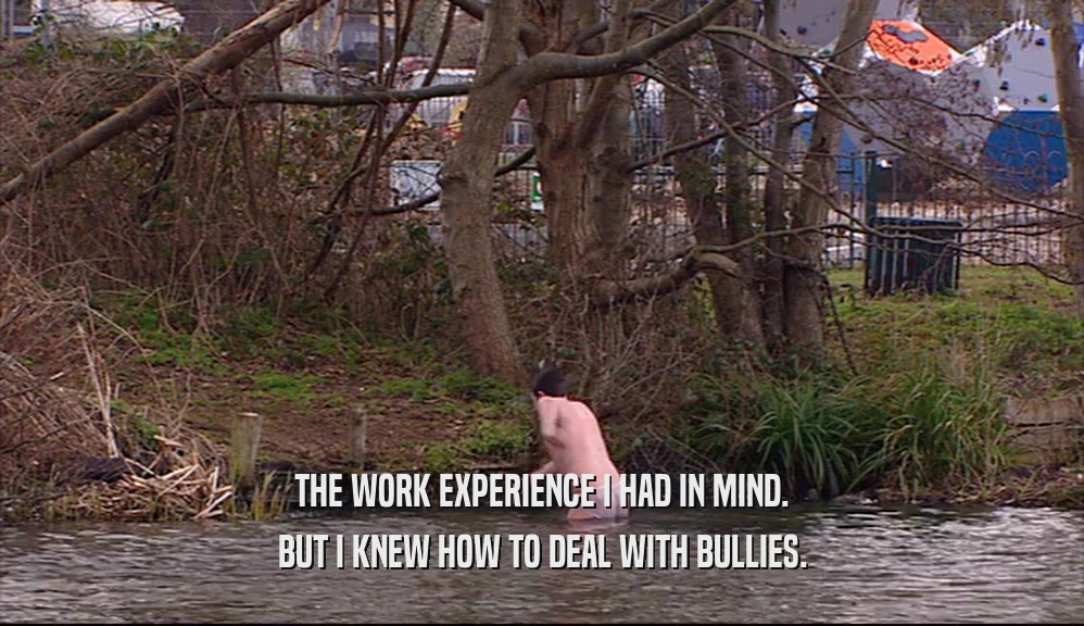 THE WORK EXPERIENCE I HAD IN MIND. BUT I KNEW HOW TO DEAL WITH BULLIES. 