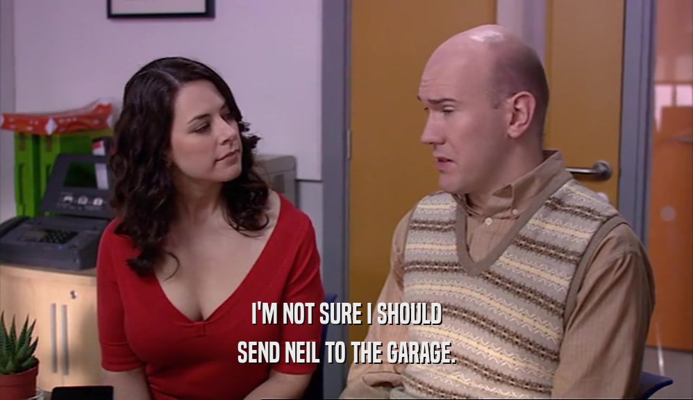 I'M NOT SURE I SHOULD SEND NEIL TO THE GARAGE. 