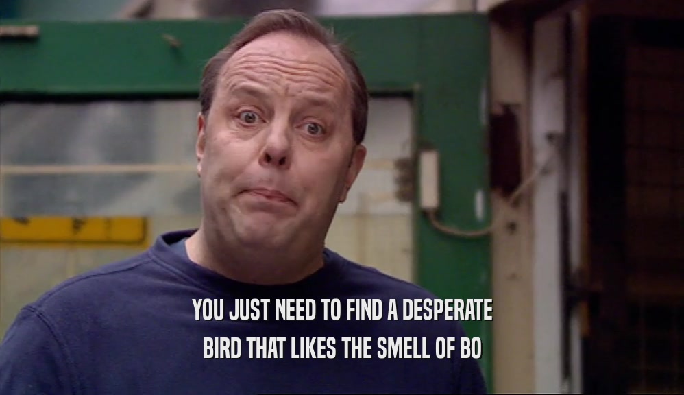 YOU JUST NEED TO FIND A DESPERATE BIRD THAT LIKES THE SMELL OF BO 