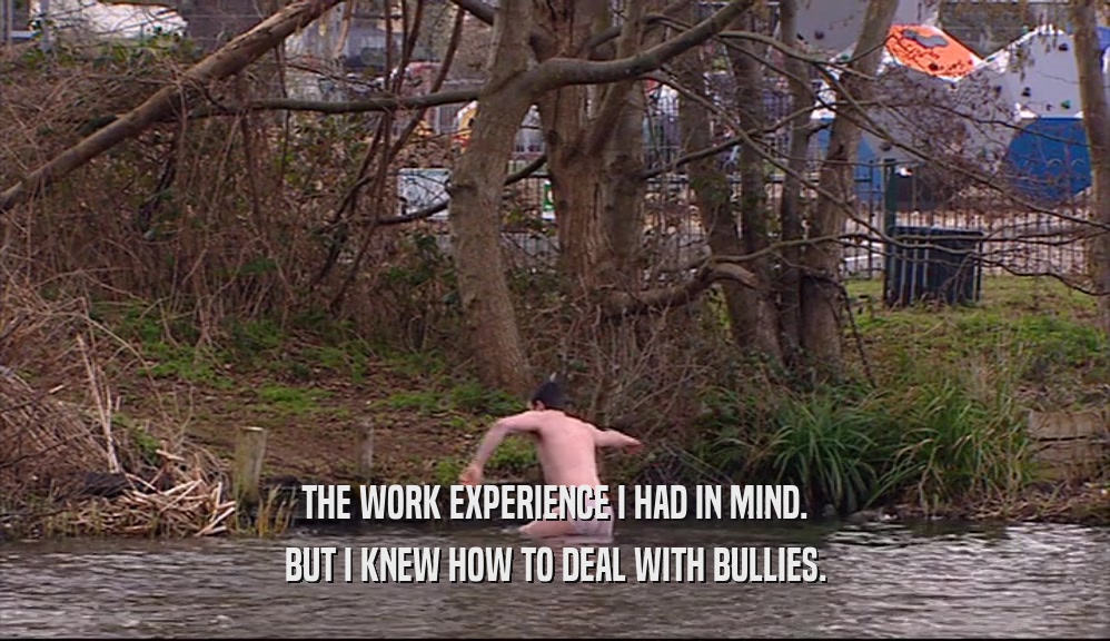 THE WORK EXPERIENCE I HAD IN MIND. BUT I KNEW HOW TO DEAL WITH BULLIES. 