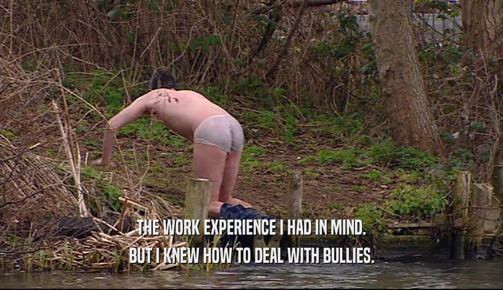 THE WORK EXPERIENCE I HAD IN MIND. BUT I KNEW HOW TO DEAL WITH BULLIES. 