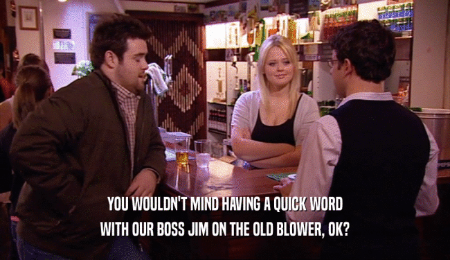 YOU WOULDN'T MIND HAVING A QUICK WORD WITH OUR BOSS JIM ON THE OLD BLOWER, OK? 