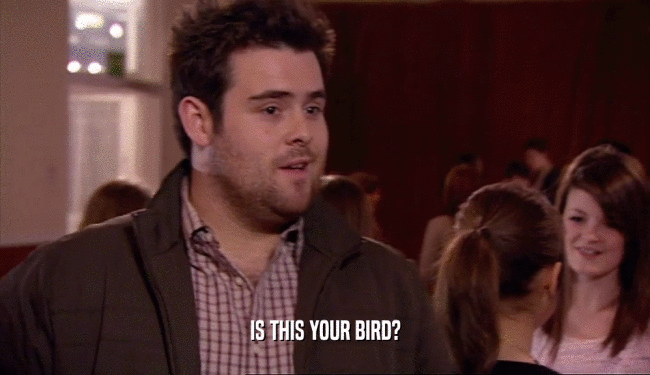 IS THIS YOUR BIRD?  