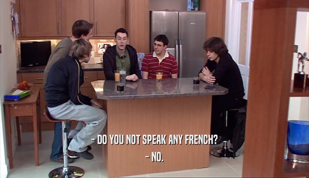 - DO YOU NOT SPEAK ANY FRENCH?
 - NO.
 