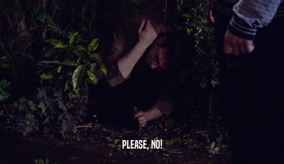 PLEASE, NO!  