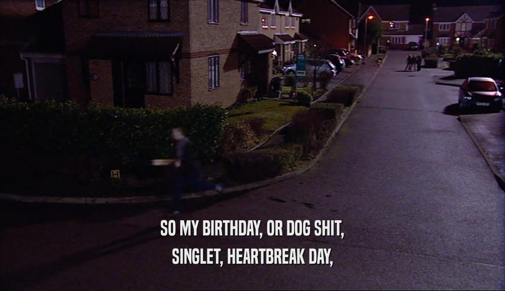 SO MY BIRTHDAY, OR DOG SHIT, SINGLET, HEARTBREAK DAY, 