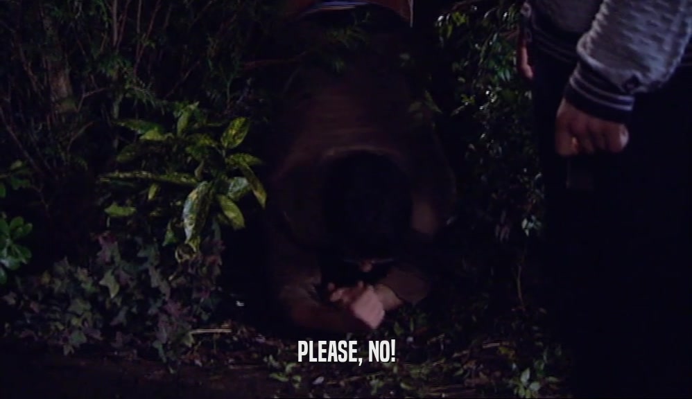 PLEASE, NO!  