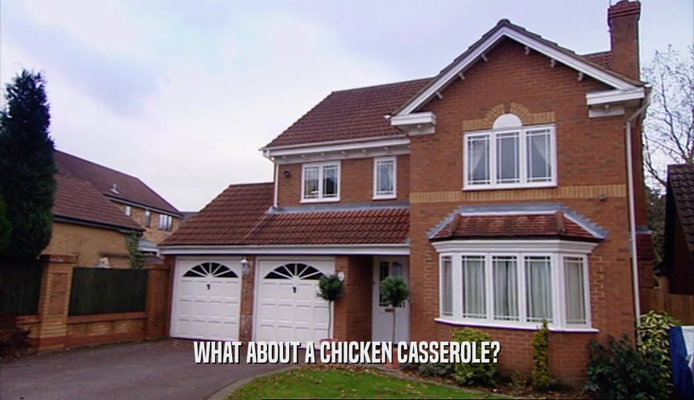 WHAT ABOUT A CHICKEN CASSEROLE?  