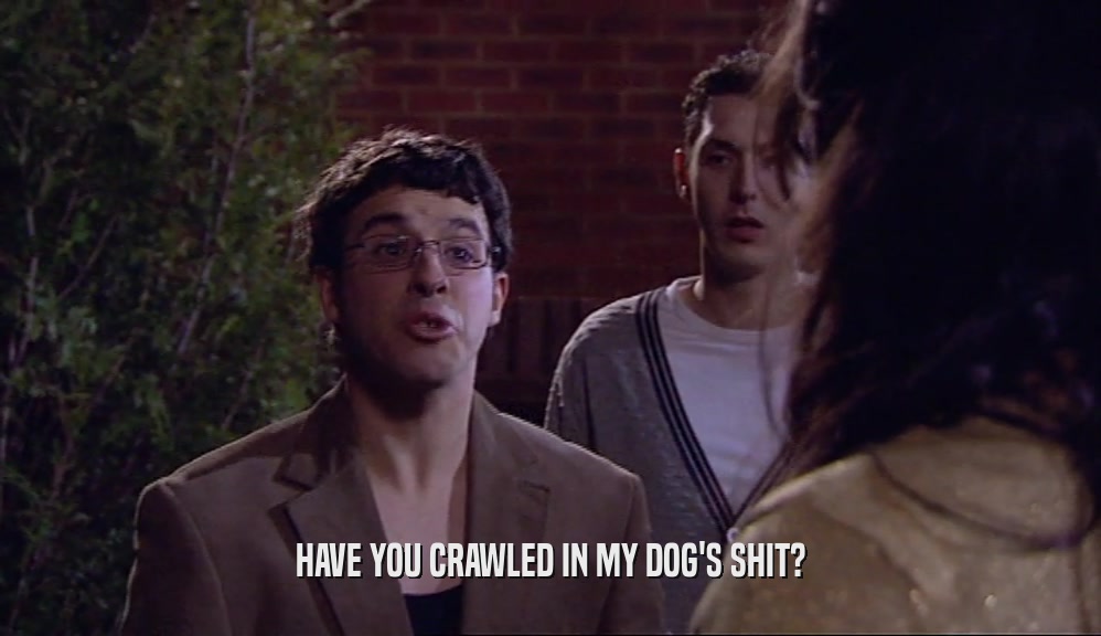 HAVE YOU CRAWLED IN MY DOG'S SHIT?  