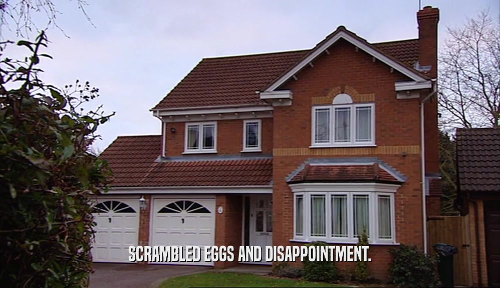 SCRAMBLED EGGS AND DISAPPOINTMENT.  