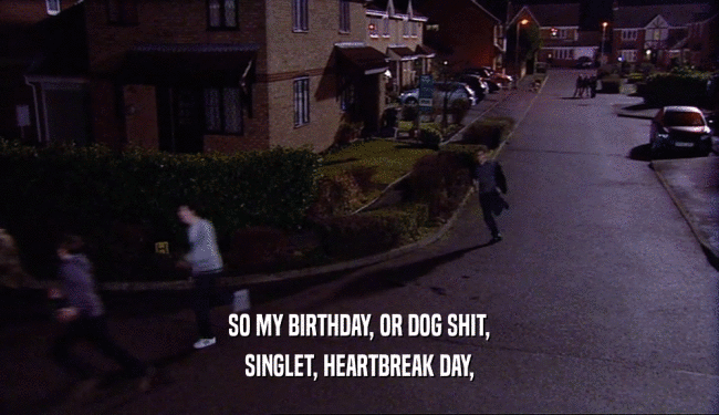 SO MY BIRTHDAY, OR DOG SHIT, SINGLET, HEARTBREAK DAY, 