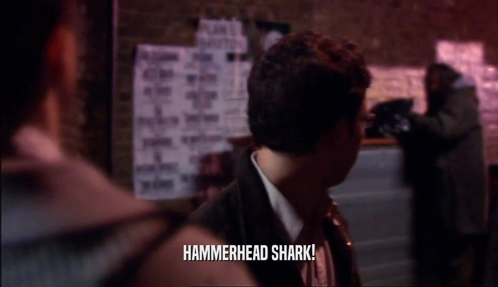 HAMMERHEAD SHARK!
  
