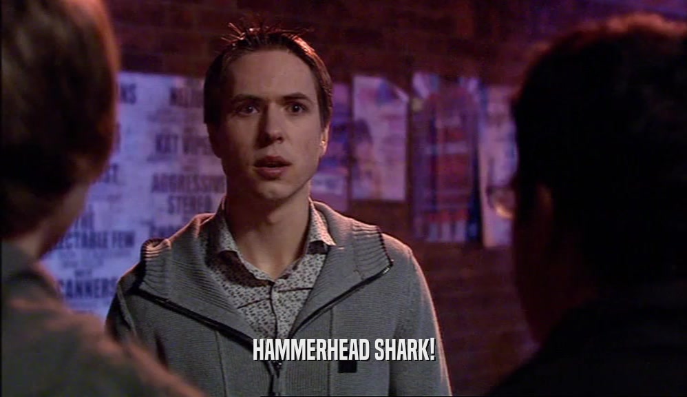 HAMMERHEAD SHARK!  
