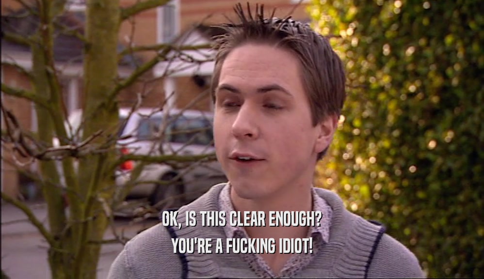 OK, IS THIS CLEAR ENOUGH? YOU'RE A FUCKING IDIOT! 