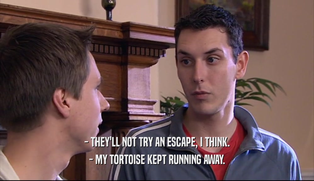 - THEY'LL NOT TRY AN ESCAPE, I THINK. - MY TORTOISE KEPT RUNNING AWAY. 