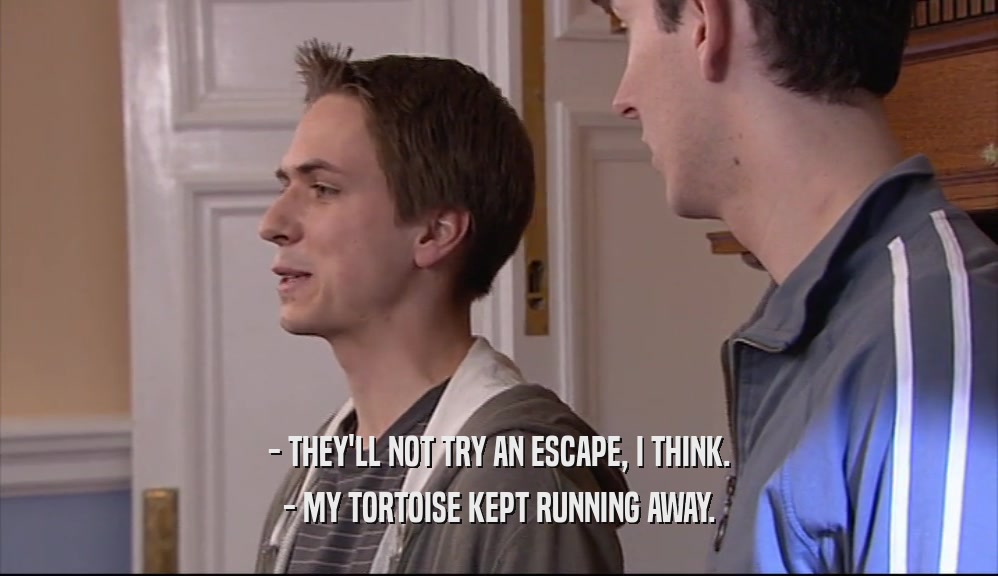 - THEY'LL NOT TRY AN ESCAPE, I THINK. - MY TORTOISE KEPT RUNNING AWAY. 