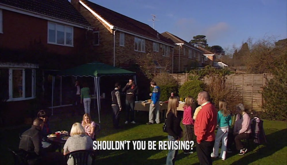 SHOULDN'T YOU BE REVISING?  