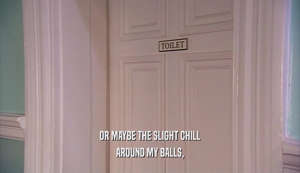 OR MAYBE THE SLIGHT CHILL AROUND MY BALLS, 