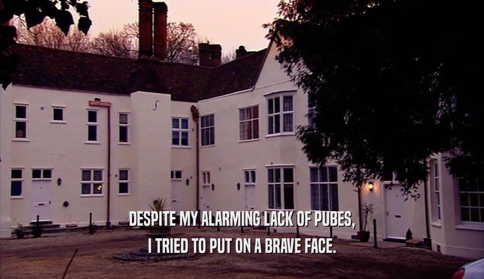 DESPITE MY ALARMING LACK OF PUBES, I TRIED TO PUT ON A BRAVE FACE. 