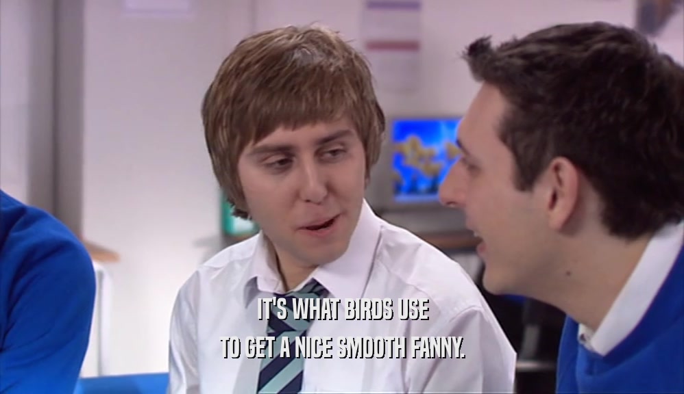 IT'S WHAT BIRDS USE TO GET A NICE SMOOTH FANNY. 