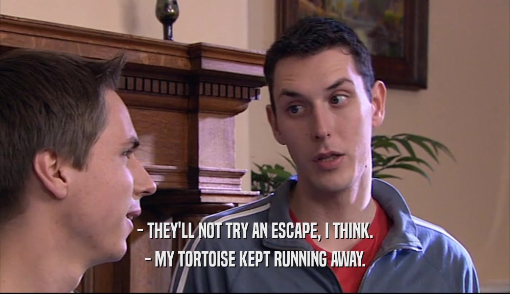 - THEY'LL NOT TRY AN ESCAPE, I THINK. - MY TORTOISE KEPT RUNNING AWAY. 