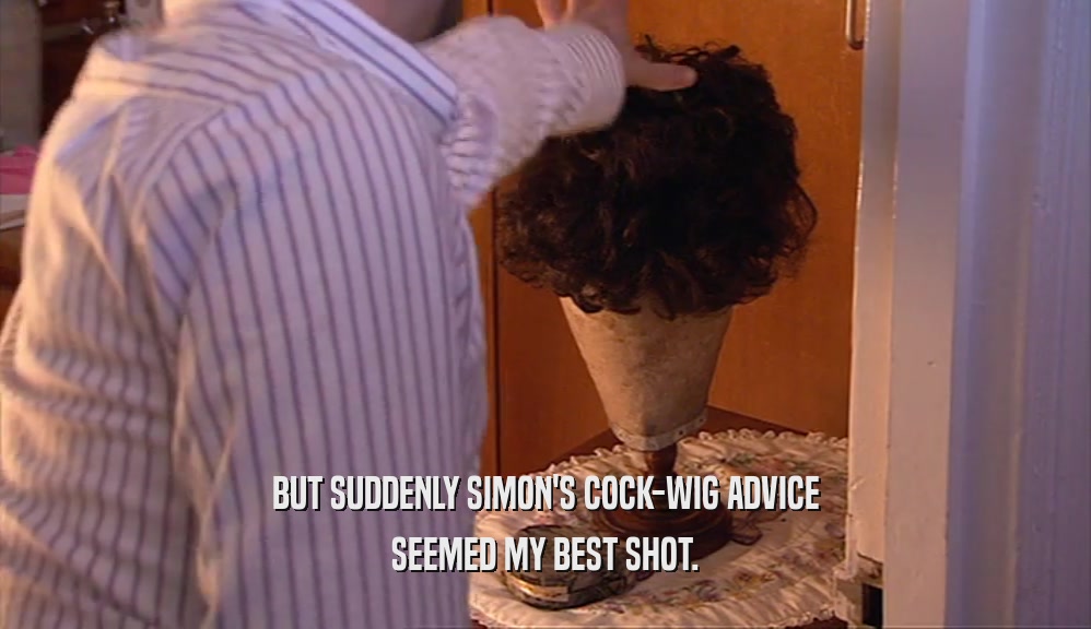 BUT SUDDENLY SIMON'S COCK-WIG ADVICE SEEMED MY BEST SHOT. 