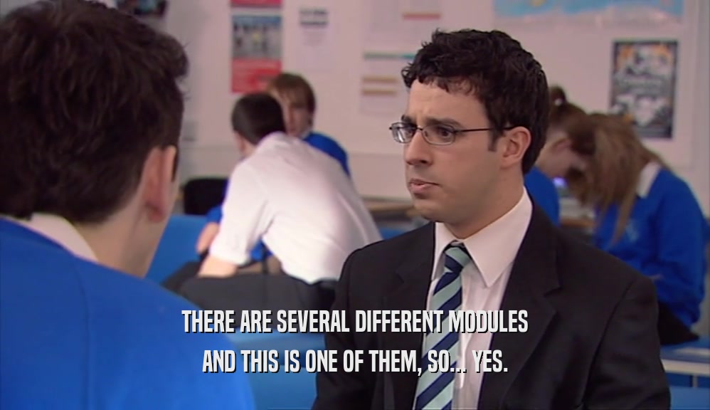 THERE ARE SEVERAL DIFFERENT MODULES AND THIS IS ONE OF THEM, SO... YES. 