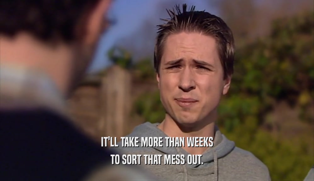 IT'LL TAKE MORE THAN WEEKS TO SORT THAT MESS OUT. 