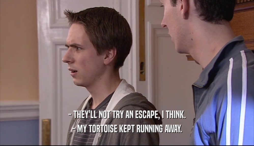 - THEY'LL NOT TRY AN ESCAPE, I THINK. - MY TORTOISE KEPT RUNNING AWAY. 