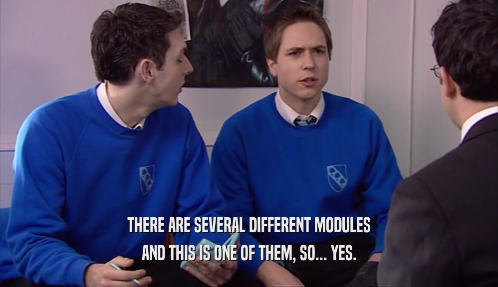 THERE ARE SEVERAL DIFFERENT MODULES AND THIS IS ONE OF THEM, SO... YES. 