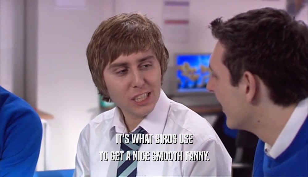 IT'S WHAT BIRDS USE TO GET A NICE SMOOTH FANNY. 