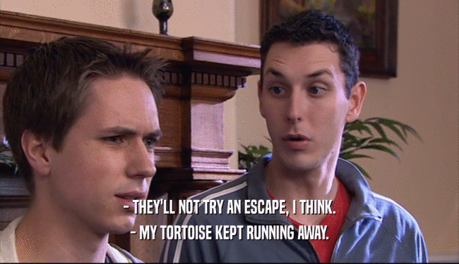 - THEY'LL NOT TRY AN ESCAPE, I THINK. - MY TORTOISE KEPT RUNNING AWAY. 