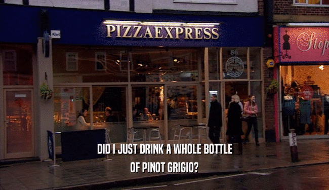DID I JUST DRINK A WHOLE BOTTLE OF PINOT GRIGIO? 