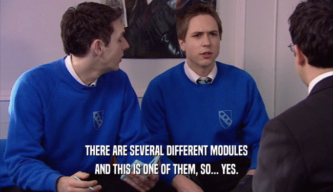 THERE ARE SEVERAL DIFFERENT MODULES AND THIS IS ONE OF THEM, SO... YES. 