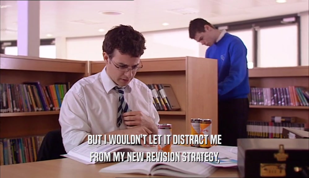 BUT I WOULDN'T LET IT DISTRACT ME FROM MY NEW REVISION STRATEGY, 
