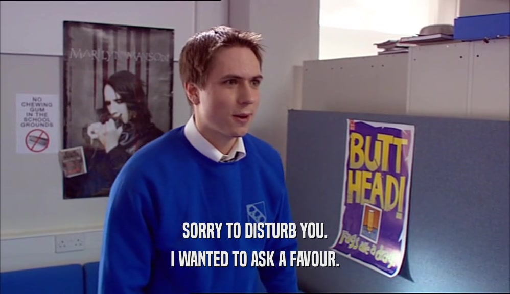 SORRY TO DISTURB YOU. I WANTED TO ASK A FAVOUR. 