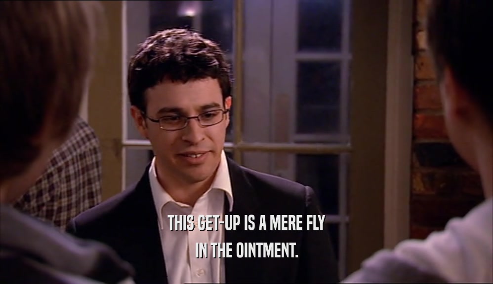 THIS GET-UP IS A MERE FLY IN THE OINTMENT. 