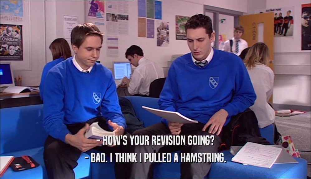 - HOW'S YOUR REVISION GOING? - BAD. I THINK I PULLED A HAMSTRING. 