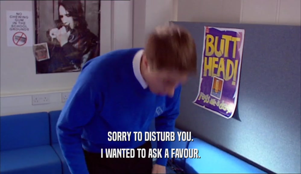 SORRY TO DISTURB YOU. I WANTED TO ASK A FAVOUR. 