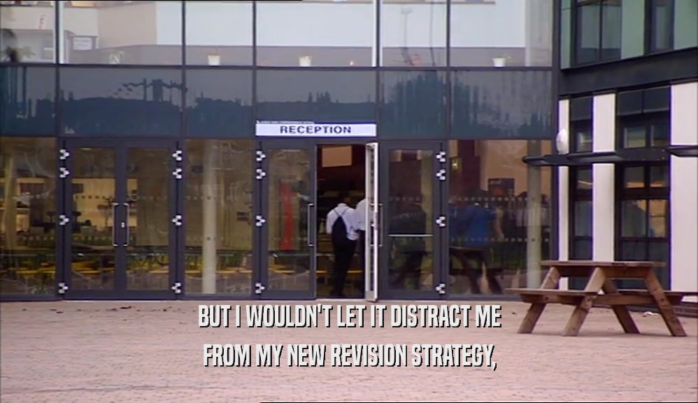 BUT I WOULDN'T LET IT DISTRACT ME FROM MY NEW REVISION STRATEGY, 