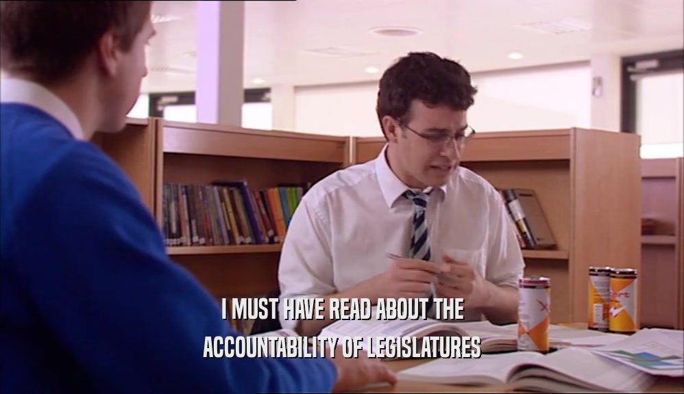 I MUST HAVE READ ABOUT THE ACCOUNTABILITY OF LEGISLATURES 