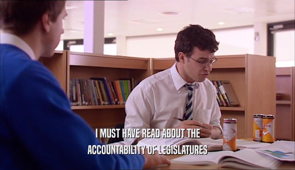 I MUST HAVE READ ABOUT THE ACCOUNTABILITY OF LEGISLATURES 